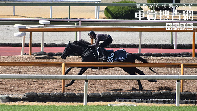 スプリングステークス22特集 Netkeiba Com 競馬予想 結果 速報 オッズ 出馬表 出走予定馬 騎手 払戻など競馬最新情報