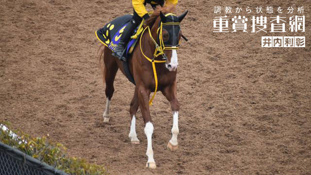 大阪杯22特集 Netkeiba Com 競馬予想 結果 速報 オッズ 出馬表 出走予定馬 騎手 払戻など競馬最新情報