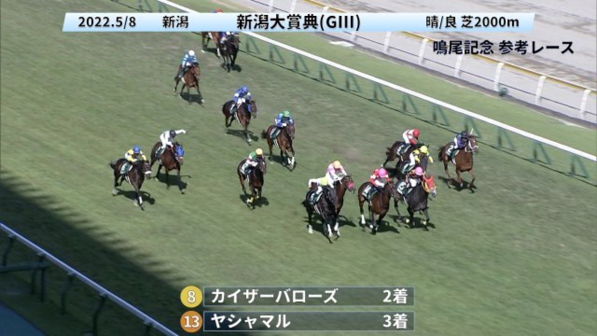 鳴尾記念GIII2022 参考レース