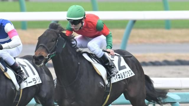 【5/29 三国特別ほか】新潟ダイジェスト/JRAレース結果