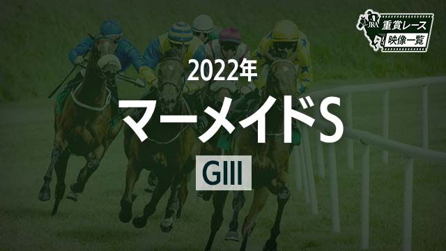 ڥޡᥤS2022 졼ۥޥƥ(ε)/JRA  | ľե륵