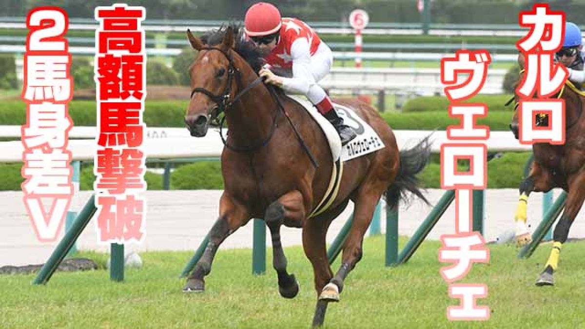 【2歳馬能力診断】カルロヴェローチェが伝説の新馬戦制す！/丹下日出夫