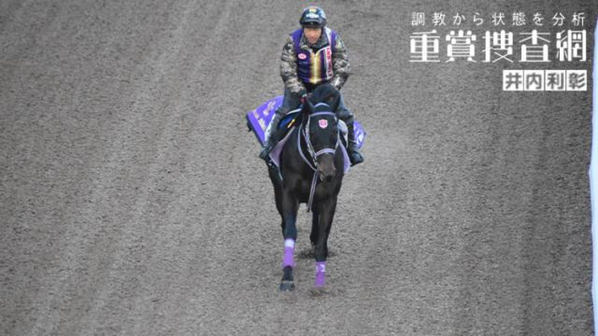 【ラジオNIKKEI賞 2022】最終追い切りを動画で解説