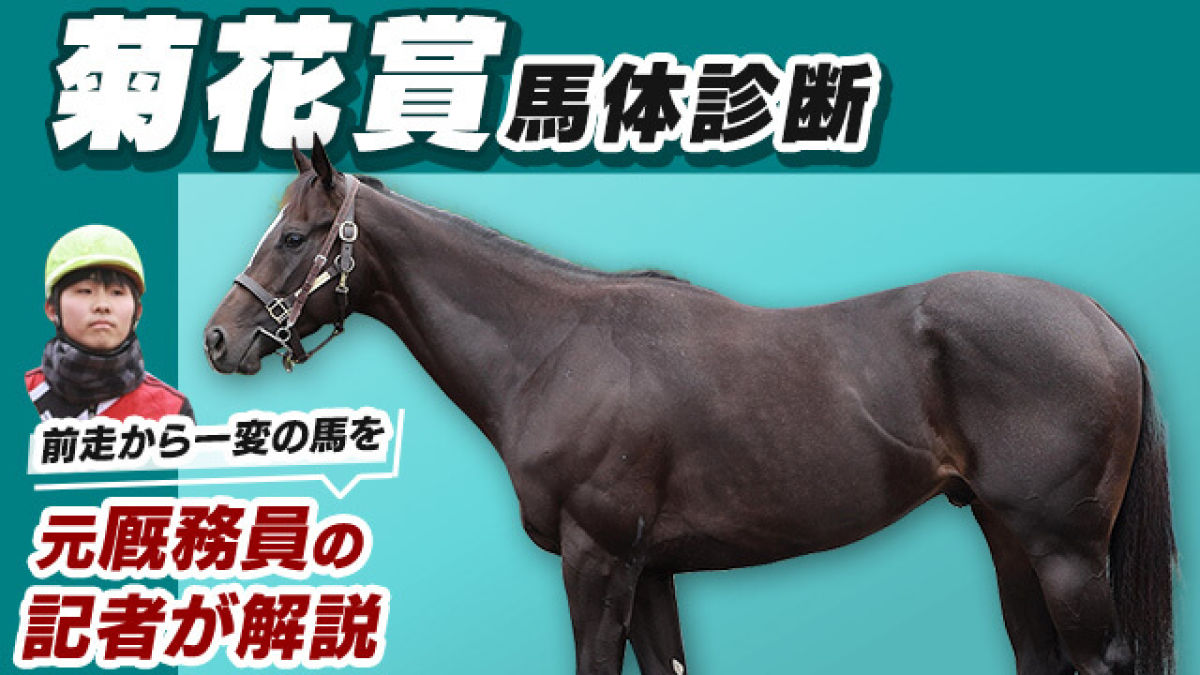 【菊花賞2022予想】ダービー時を凌駕する充実した馬体！文字通り"一変"した馬とは？