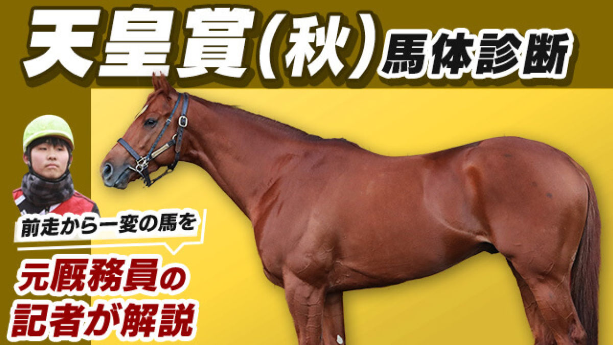【天皇賞(秋)2022予想】出走馬でNo.1！ 前走から力強さが更に増した3歳馬とは？