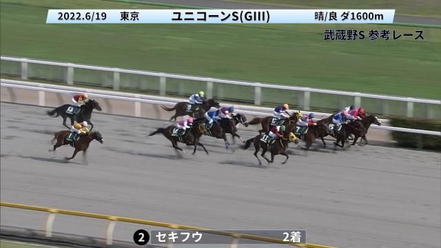 ���ͥ졼������