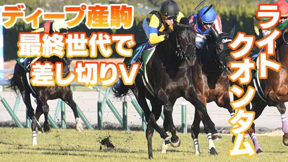 【3歳馬能力診断】ライトクオンタムが2連勝で重賞制覇！/丹下日出夫