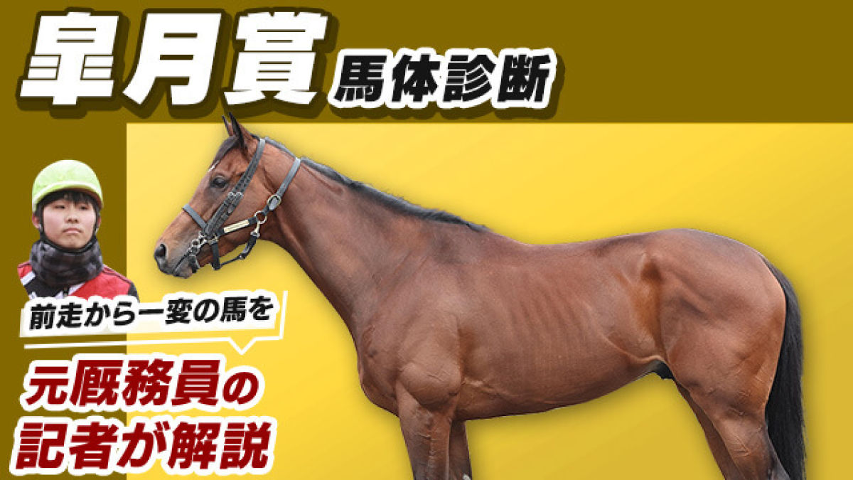【皐月賞2023予想】非の打ち所がない好馬体！荒れ馬場で買いたいパワー型3頭をピックアップ