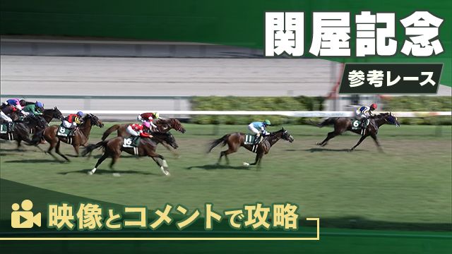 ���ͥ졼������