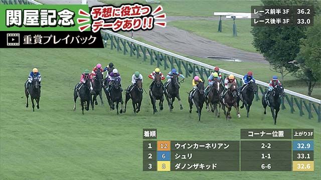 ���ͥ졼������