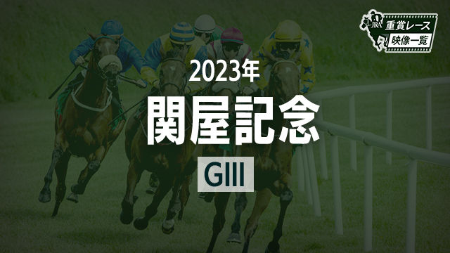 【関屋記念2023 レース映像】アヴェラーレ(戸崎圭太)/JRA 結果