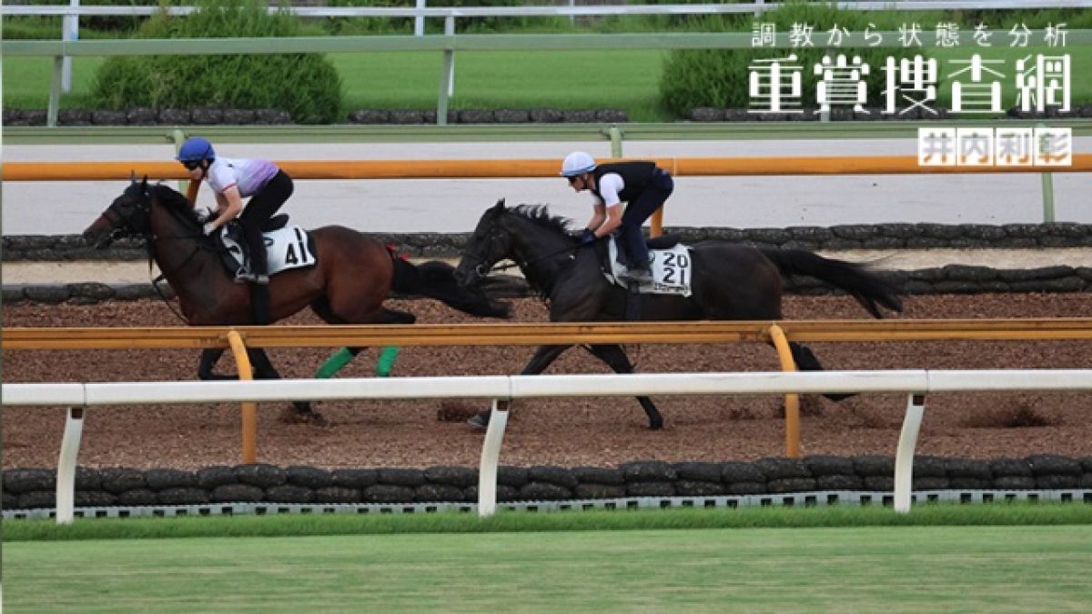 【新潟記念 2023】最終追い切りを動画で解説/井内利彰