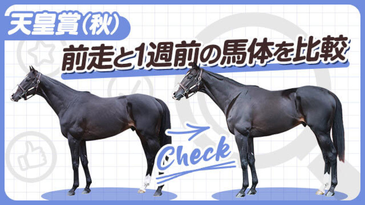 【天皇賞(秋)2023】イクイノックスやドウデュースなど有力馬を3頭ピックアップ！前走と1週前の馬体を比較