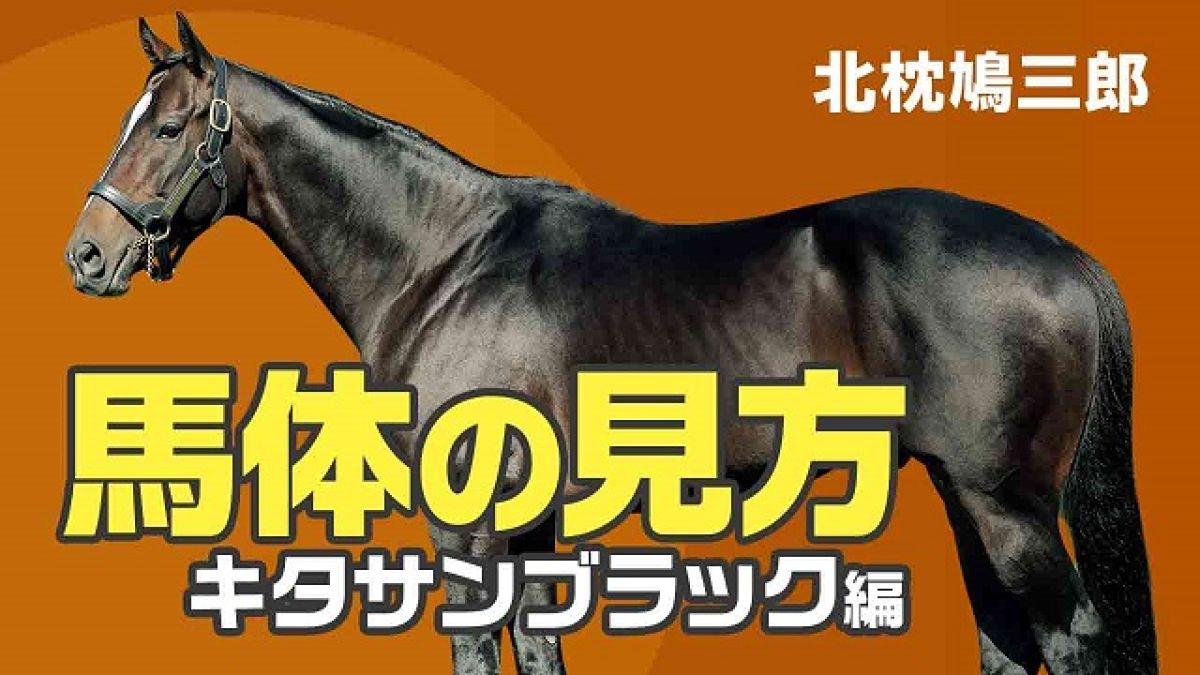 【馬体の見方】キタサンブラック産駒の特徴と注意してチェックするべき点/北枕鳩三郎