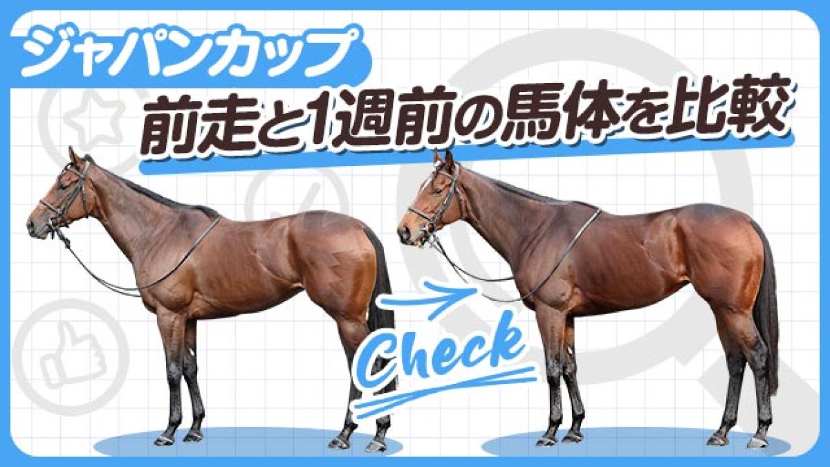 【ジャパンC2023】イクイノックスやリバティアイランドら有力馬を3頭ピックアップ！前走と1週前の馬体を比較