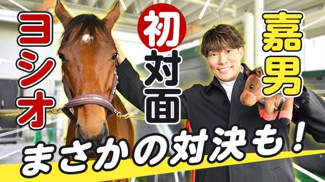 福島競馬場の誘導馬ヨシオが11歳で死す 21年アイドルホース