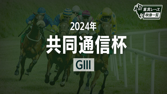 ڶƱ̿2024 졼ۥ㥹ƥߥ(ͺ귽)/JRA  | ľե륵