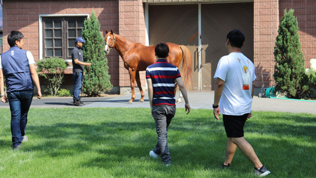 45 オルフェーヴルと感動のご対面 追悼 ディープインパクトの馬房見学も 池添謙一 競馬動画 Netkeiba Com