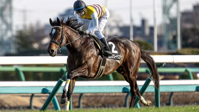 【2/24 幕張Sほか】中山ダイジェスト/JRAレース結果