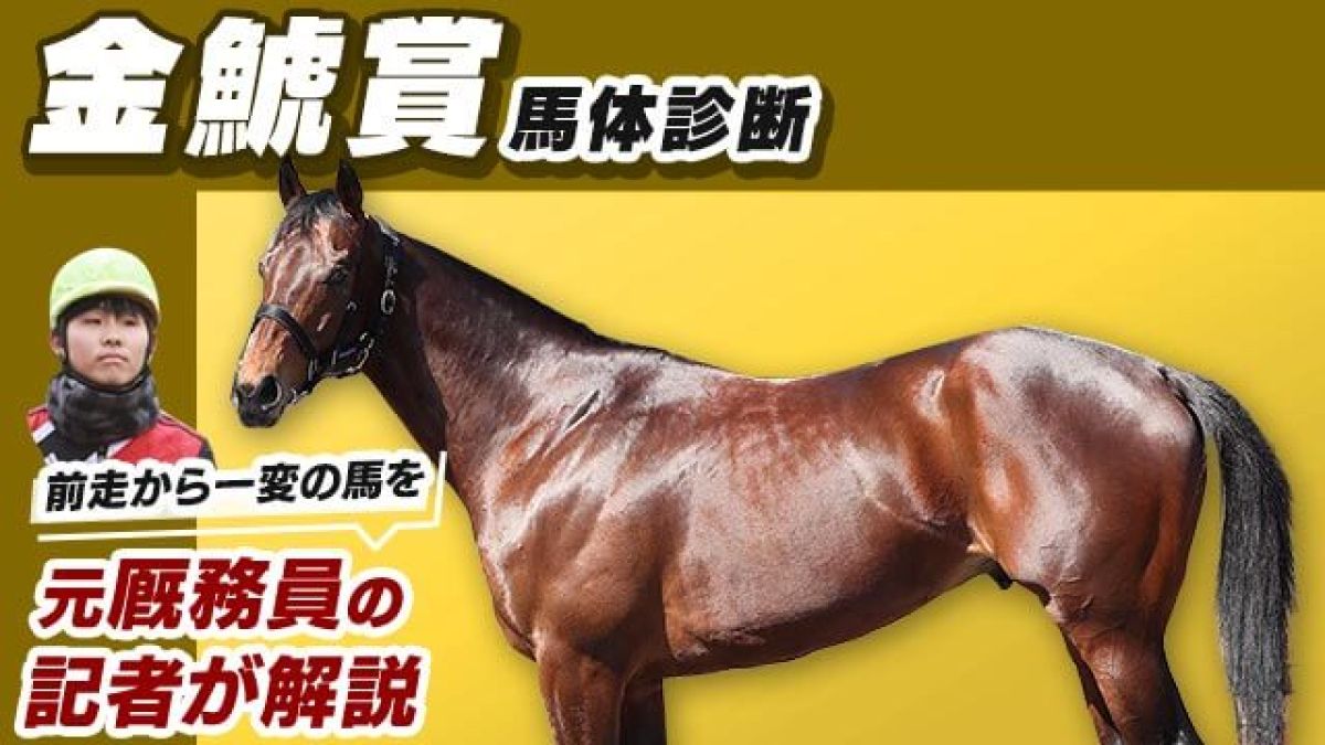 【金鯱賞2024予想】イクイノックスを彷彿させる好馬体！有力馬の馬体を診断