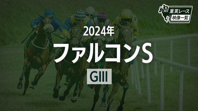 ڥե륳S2024 졼ۥΥޥå꡼(¼ͧ)/JRA  | ľե륵
