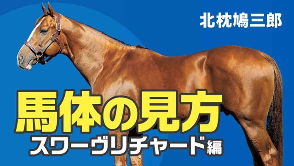 【馬体の見方】スワーヴリチャード産駒の特徴と注意してチェックするべき点/北枕鳩三郎