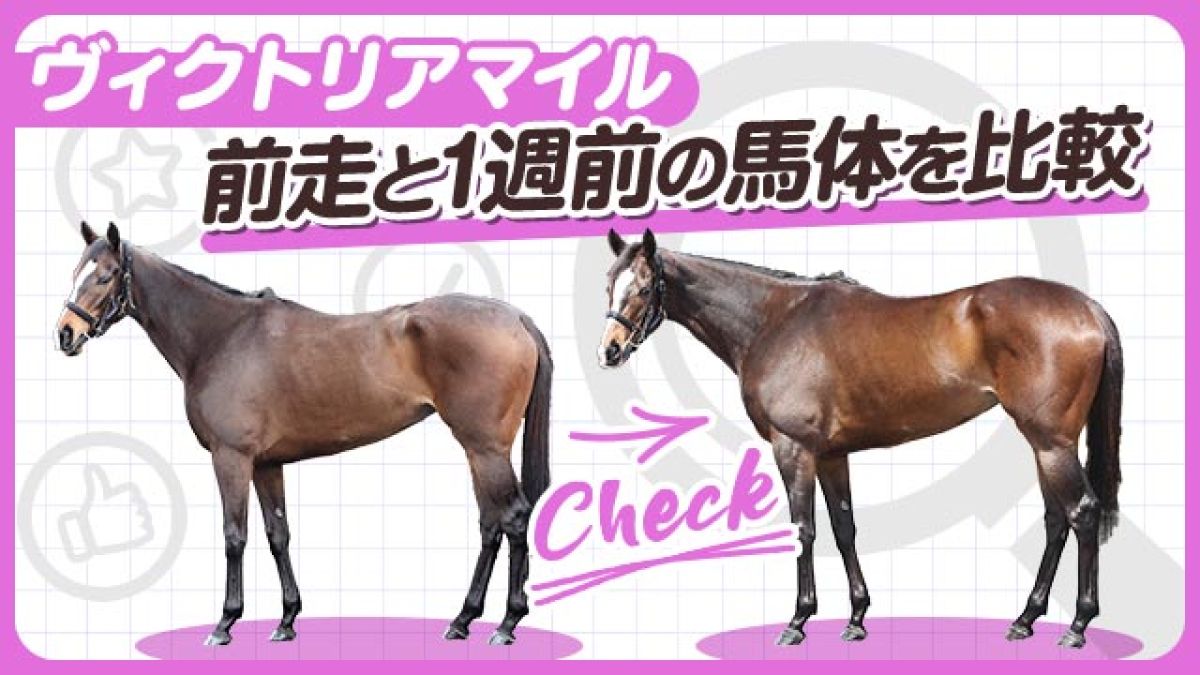 【ヴィクトリアM2024】スタニングローズとハーパーの前走と1週前の馬体を比較！