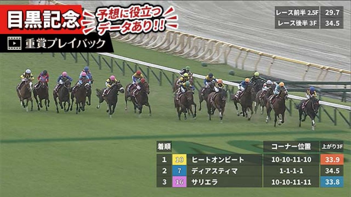 【目黒記念 2024】過去5年のレース映像・傾向
