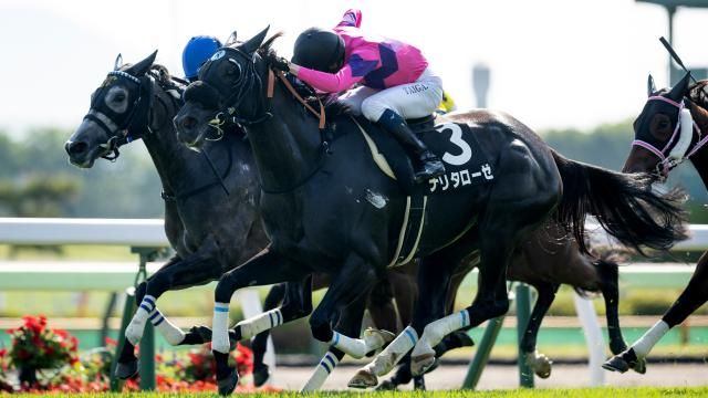 【6/8 函館日刊スポーツ杯ほか】函館ダイジェスト/JRAレース結果