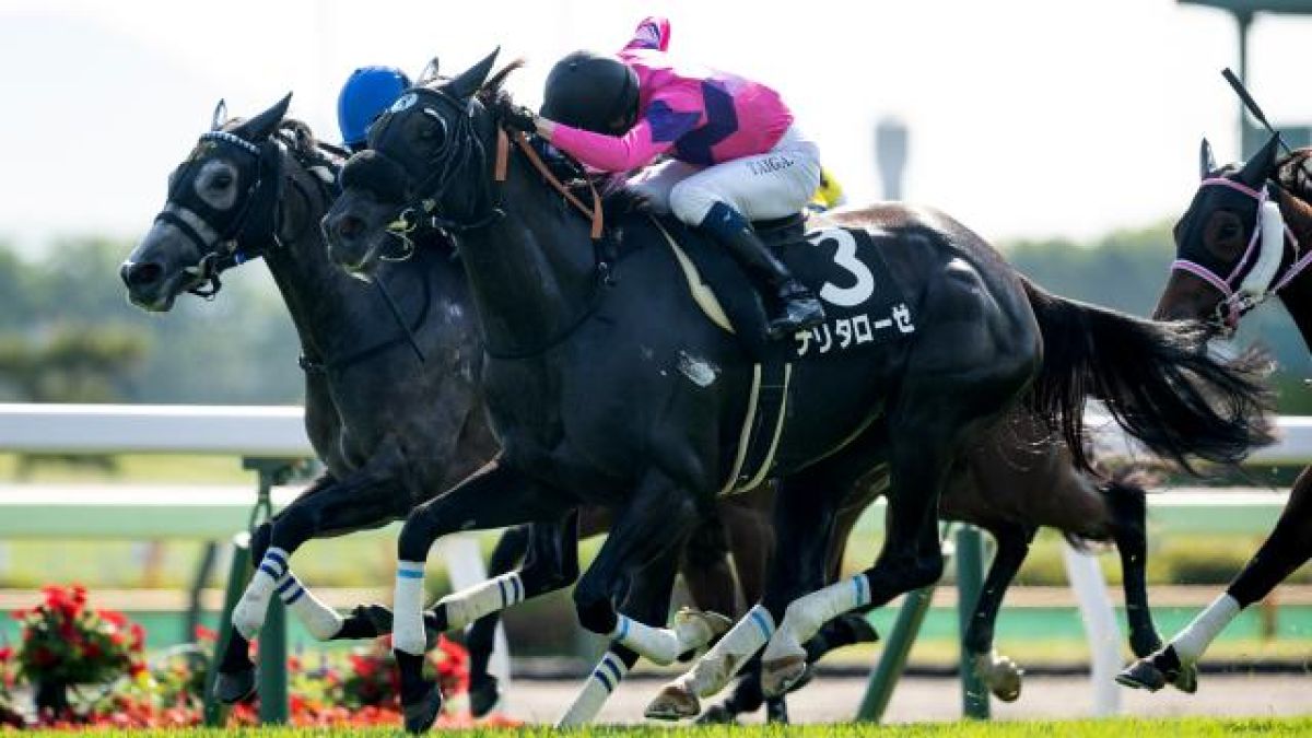【6/8 函館日刊スポーツ杯ほか】函館ダイジェスト/JRAレース結果