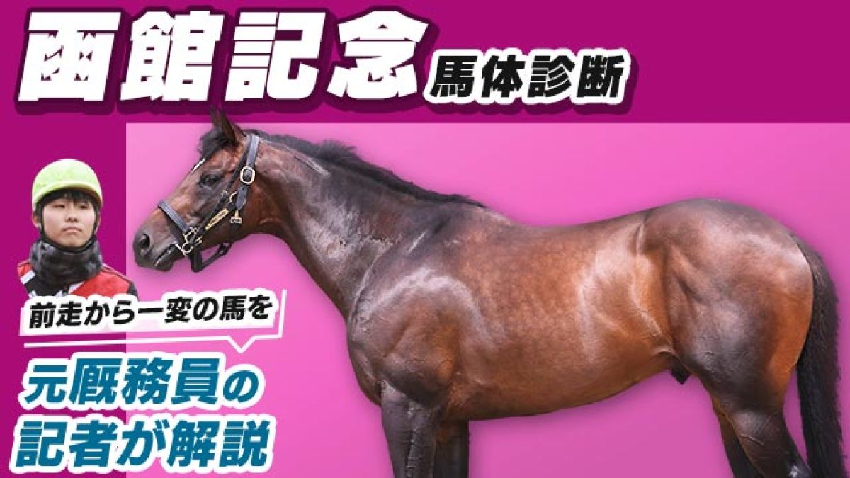【函館記念2024予想】体幹の強い馬体に注目！3頭をピックアップ