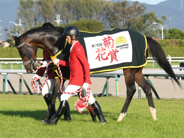 競馬ファンが選ぶ 歴代最強の菊花賞馬 は 投票結果 Netkeiba Com