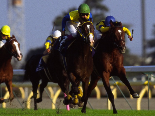 競馬ファンが選ぶ 歴代最強の天皇賞 秋 馬 は 投票結果 Netkeiba Com