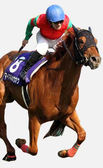 前走敗北から巻き返せる馬の見極め