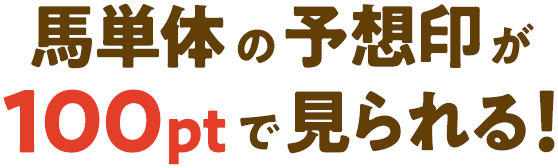 ñΤͽ۰100ptǸ롪