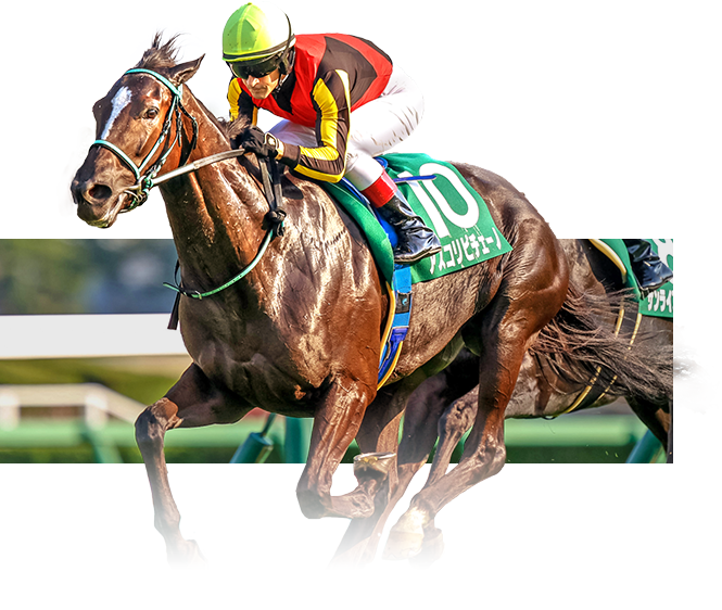 秋競馬開幕】ウマい馬券予想特集 netkeiba | 厳選予想・ウマい