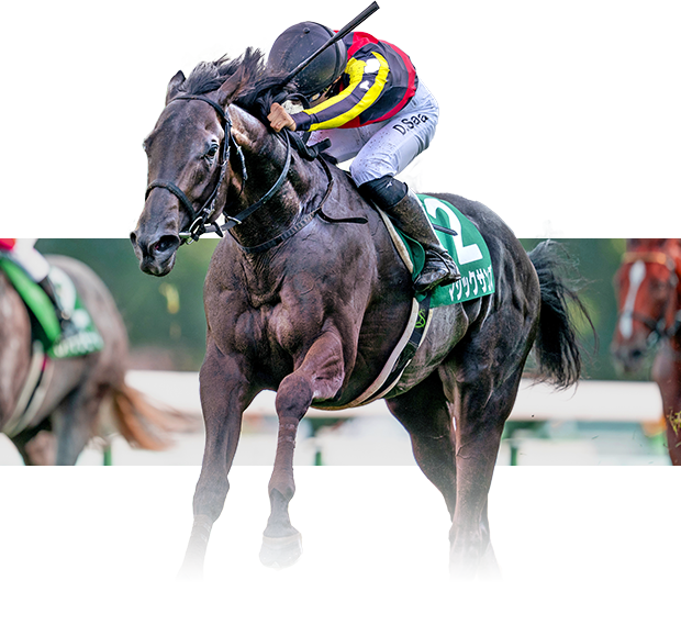 ★ウマ娘馬券★ スペシャルウィーク 第59回菊花賞 現地単勝馬券 菊花賞】出走馬ジャッジ - YouTube