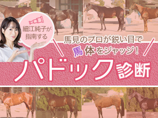  細江純子がダービー出走予定10頭の馬体を診断！
