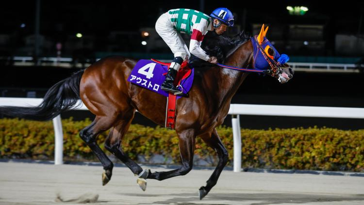 フジノウェーブ記念2025特集 | netkeiba 競馬予想・結果・速報