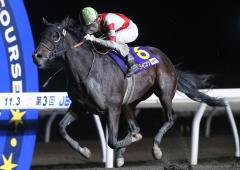 JBC2歳優駿2025特集 | netkeiba 競馬予想・結果・速報・オッズ