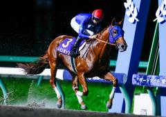 マイルCS南部杯2024特集 | netkeiba 競馬予想・結果・速報・オッズ・出馬表・出走予定馬・騎手・払戻など競馬最新情報！