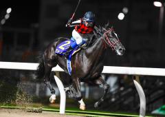 鎌倉記念2024特集 | netkeiba 競馬予想・結果・速報・オッズ・出馬表・出走予定馬・騎手・払戻など競馬最新情報！