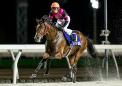 JBC2歳優駿2025特集 | netkeiba 競馬予想・結果・速報・オッズ JBC2歳優駿2025特集 | netkeiba 競馬予想・結果・速報・オッズ