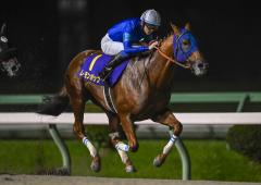 現地購入的中単勝馬券【2000年南部杯】ゴールドティアラ ゴールドシップ 引退年 宝塚記念&有馬記念 現地単勝馬券&出馬