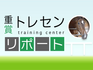 カレンブーケドール」のコラム検索結果 | 競馬コラム - netkeiba