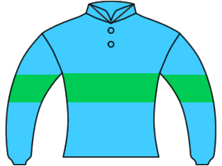 住吉正のプロフィール 馬主データ