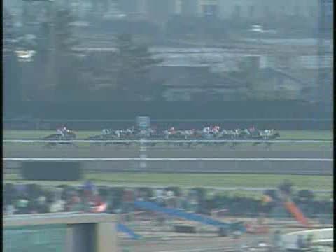 有馬記念 レース結果 | 1993年12月26日 中山9R - netkeiba.com
