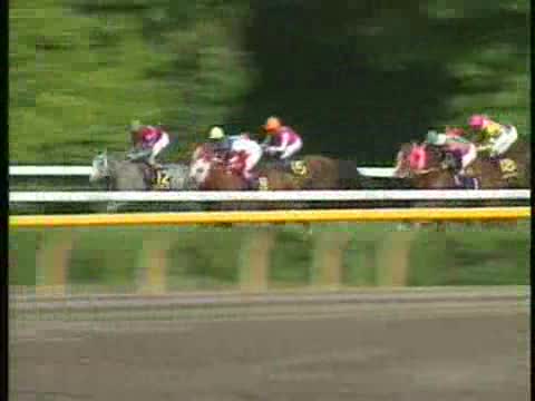 優駿牝馬 レース結果 | 1998年5月31日 東京11R - netkeiba