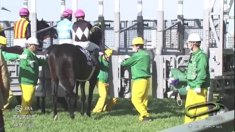 京王杯スプリングカップ2025特集 | netkeiba 競馬予想・結果