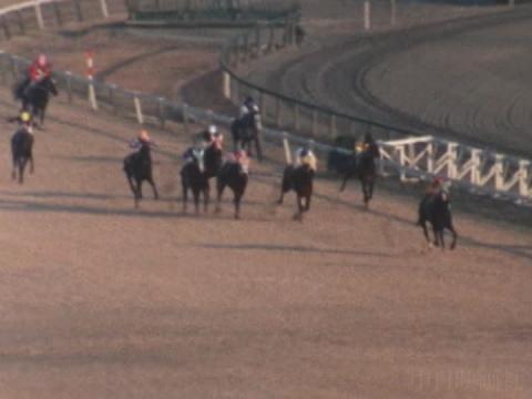 天皇賞 レース結果 1972年11月26日 東京9r Netkeiba Com